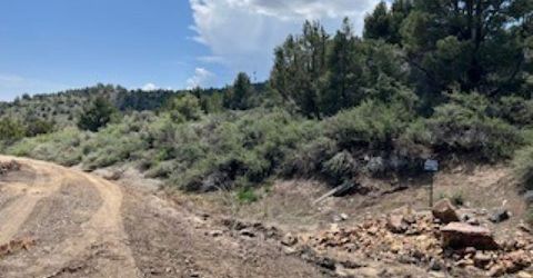 4720 Lost Burro Road, Virginia City, NV 89521 Photo
