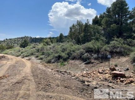 4720 Lost Burro Road, Virginia City, NV 89521 Photo