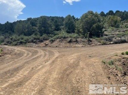 4720 Lost Burro Road, Virginia City, NV 89521 Photo