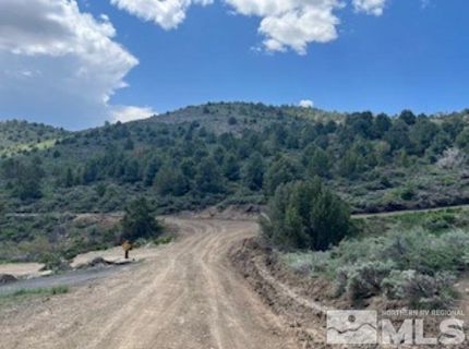 4720 Lost Burro Road, Virginia City, NV 89521 Photo