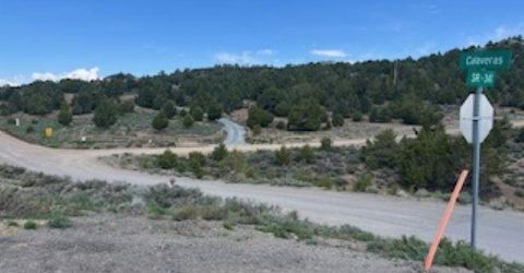 4720 Lost Burro Road, Virginia City, NV 89521 Photo