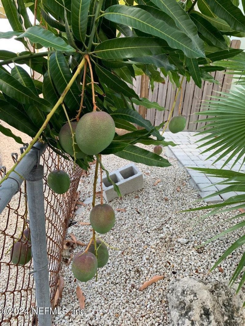 1136 W Shore Drive, Big Pine Key, FL 33043 Photo