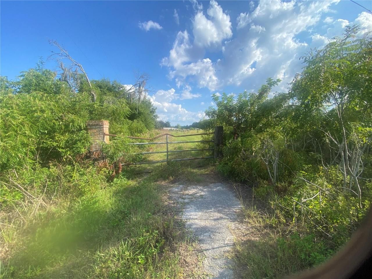 4210 Cardinal Lane, Kissimmee, FL 34744 Photo