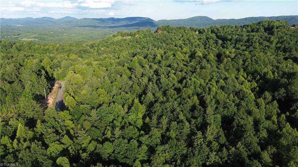 Lots 19 & 26 Rosebrier Road, Boomer, NC 28606 Main Photo