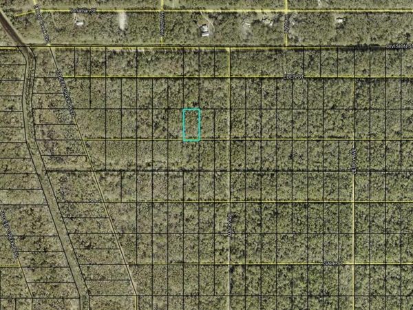 XX FAGAN STREET, HASTINGS, FL 32145