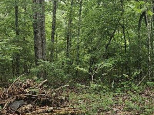 0 Dixie Ct, Holladay, TN 38341