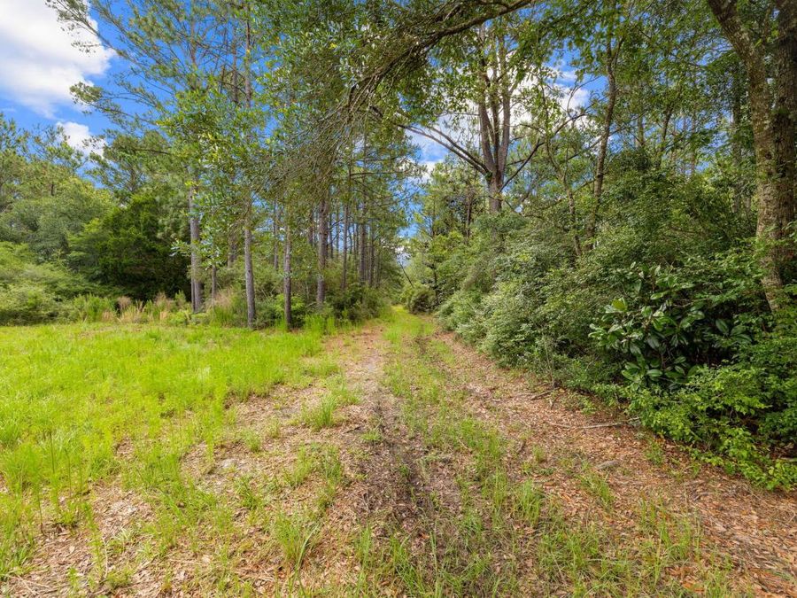 Property Image 54