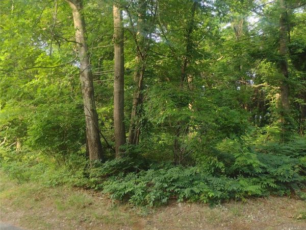 Cedar Lane, Medford, NY 11763