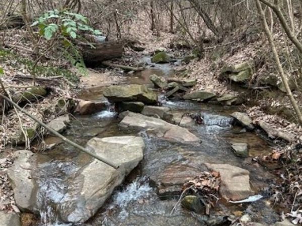 1007 Evanwood Drive, Lookout Mountain, TN 37350