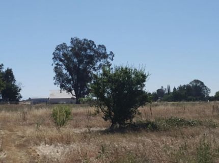 10076 Florin Rd, Sacramento, CA 95829 Photo