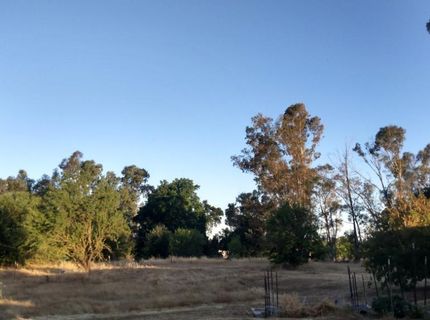 10076 Florin Rd, Sacramento, CA 95829 Photo