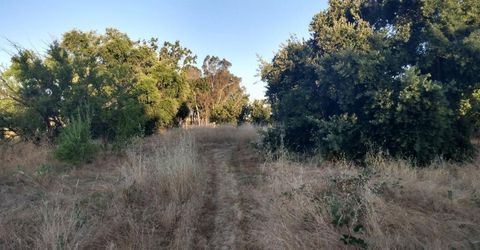 10076 Florin Rd, Sacramento, CA 95829 Photo