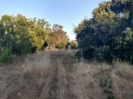 10076 Florin Rd, Sacramento, CA 95829 Photo