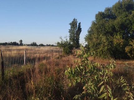 10076 Florin Rd, Sacramento, CA 95829 Photo