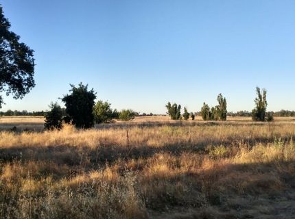 10076 Florin Rd, Sacramento, CA 95829 Photo