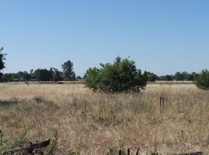 10076 Florin Rd, Sacramento, CA 95829 Photo