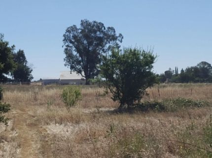 10076 Florin Rd, Sacramento, CA 95829 Photo