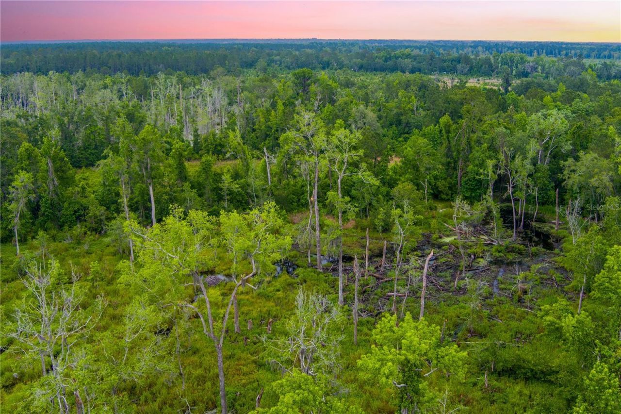 Nw Colin Court, Lake City, FL 32055 Photo