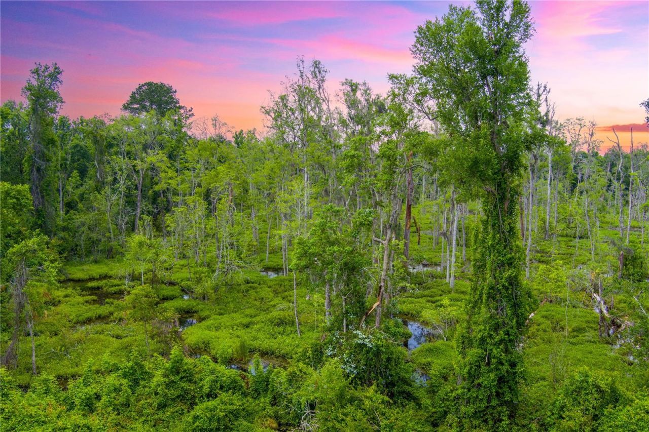 Nw Colin Court, Lake City, FL 32055 Photo