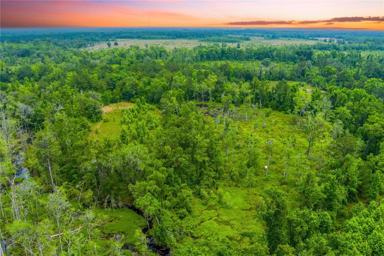 Nw Colin Court, Lake City, FL 32055 Photo