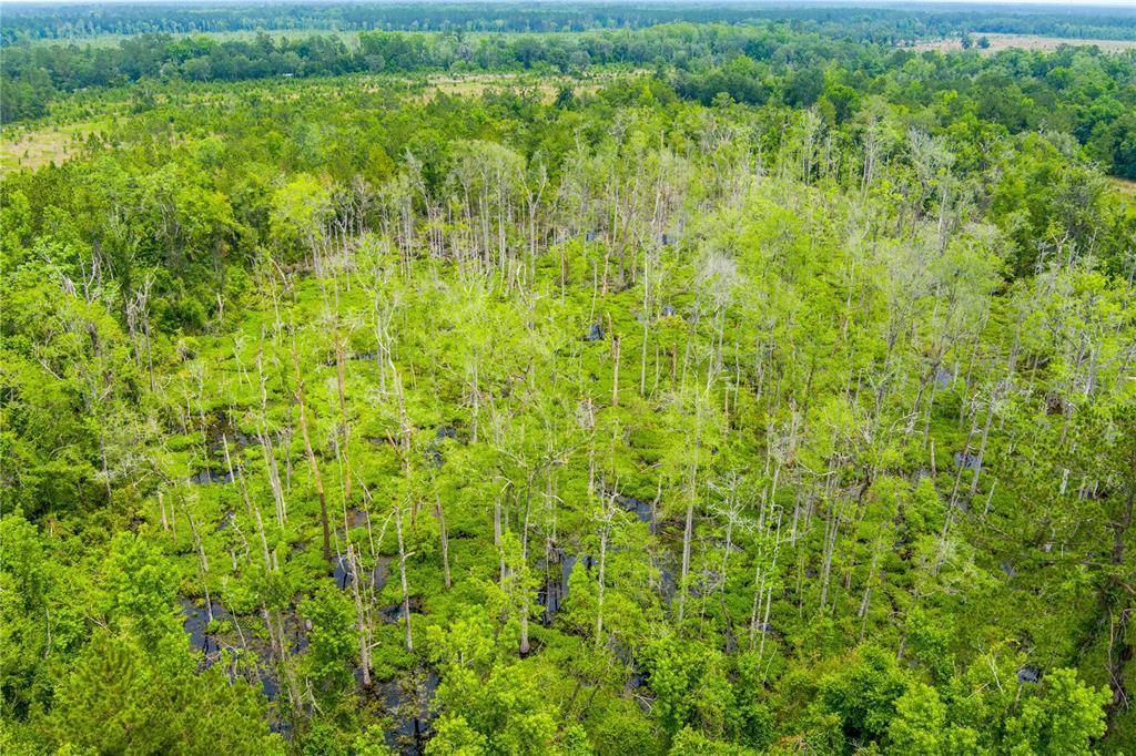 Nw Colin Court, Lake City, FL 32055 Photo