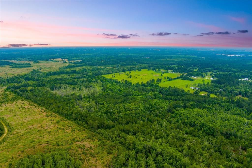 Nw Colin Court, Lake City, FL 32055 Photo