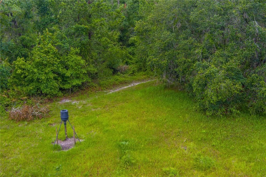 Nw Colin Court, Lake City, FL 32055 Photo