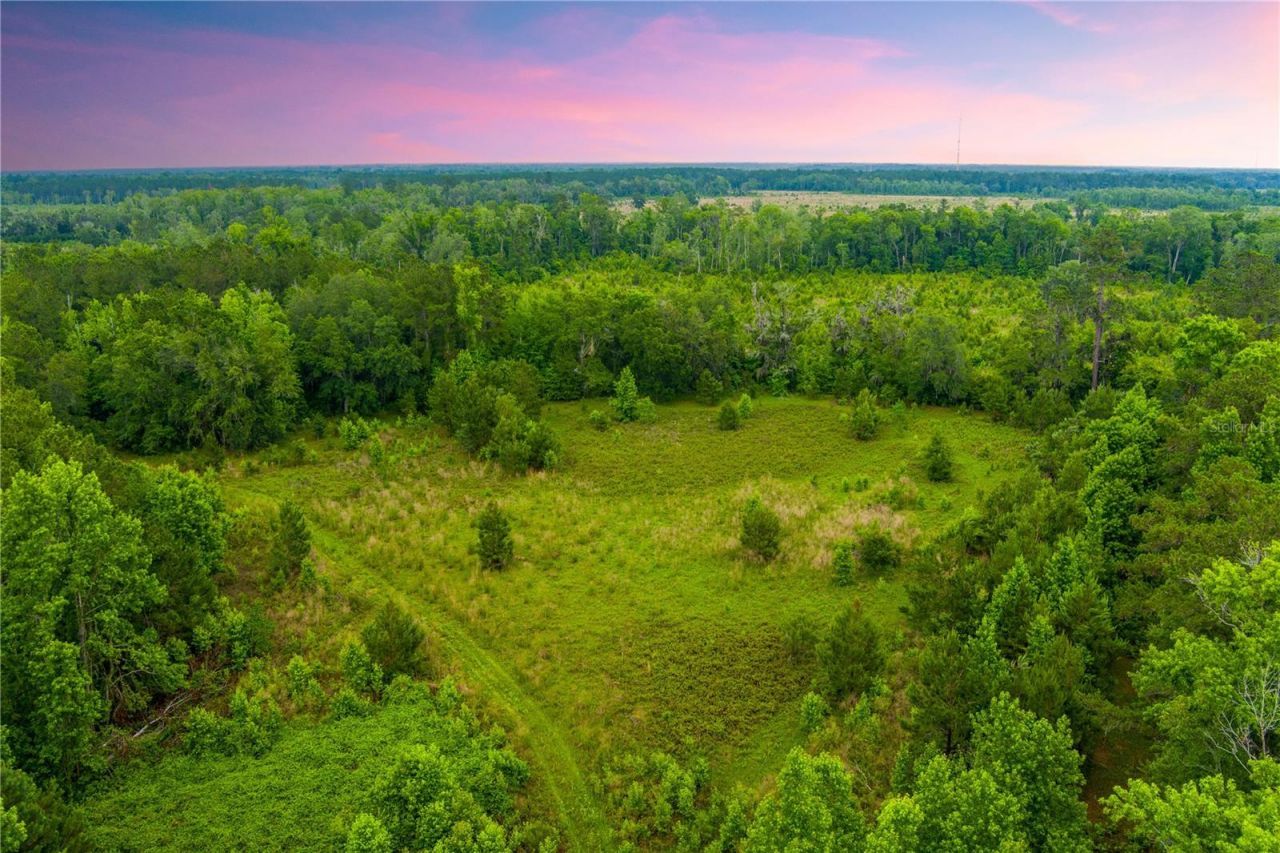 Nw Colin Court, Lake City, FL 32055 Photo