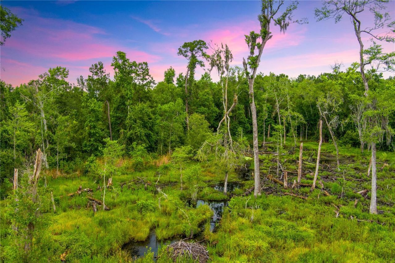 Nw Colin Court, Lake City, FL 32055 Photo