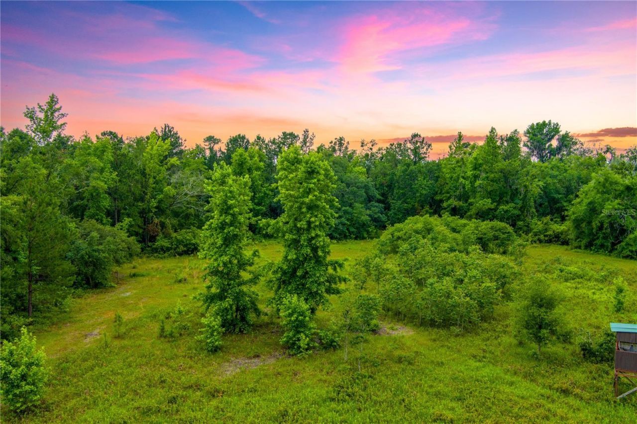 Nw Colin Court, Lake City, FL 32055 Photo