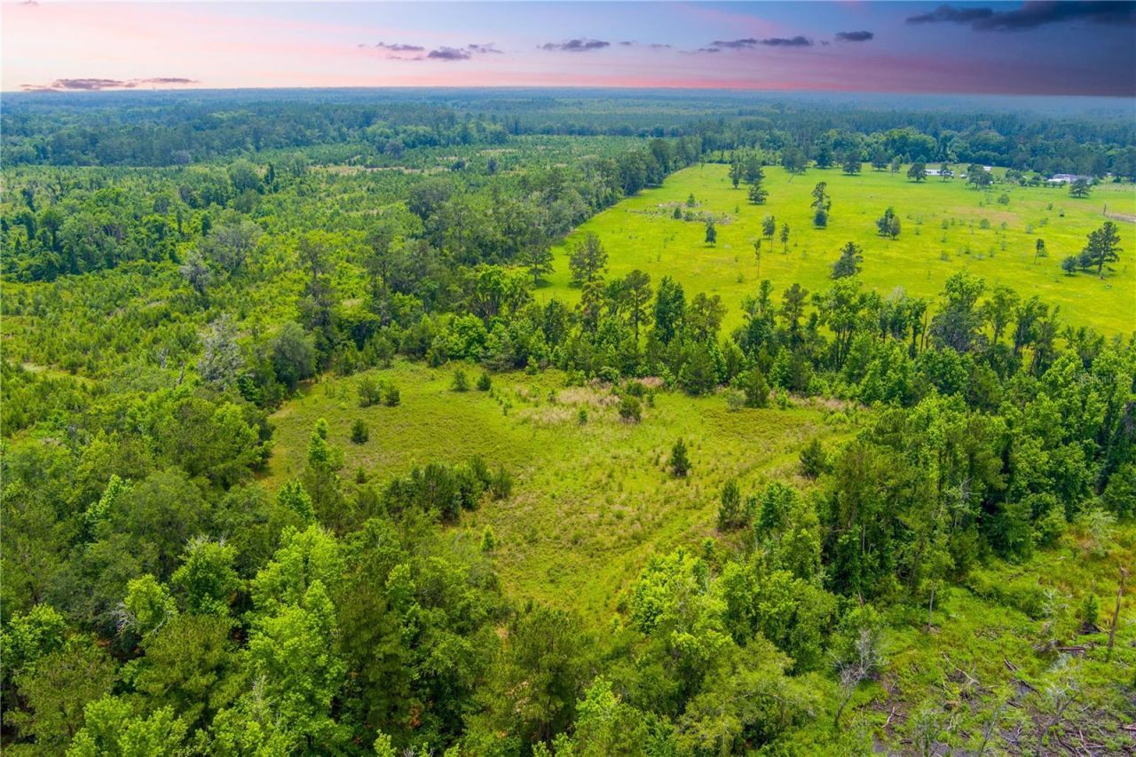 Nw Colin Court, Lake City, FL 32055 Photo