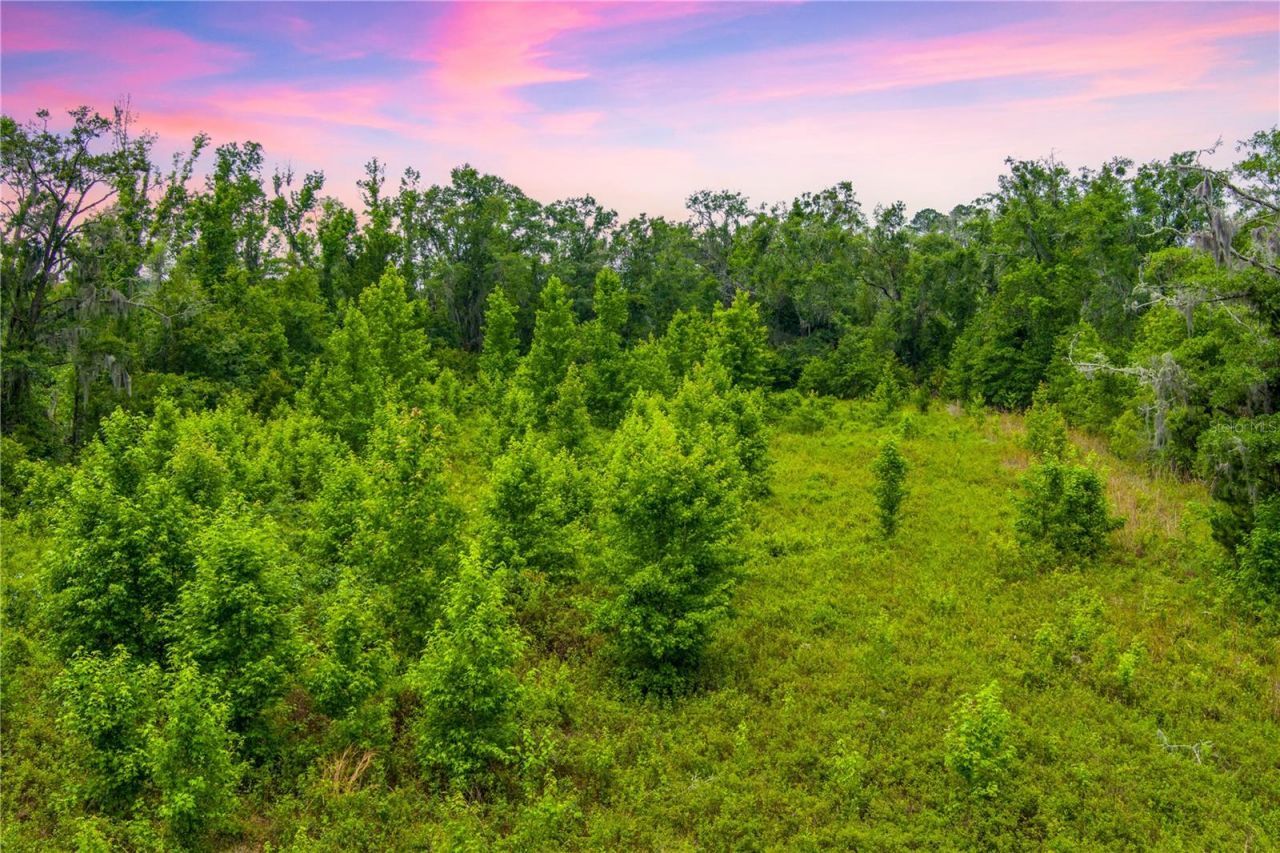 Nw Colin Court, Lake City, FL 32055 Photo