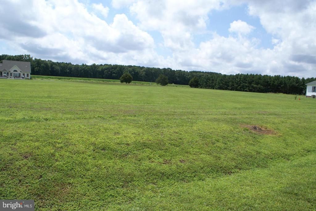 10610 Rosewood Court, Princess Anne, MD 21853 Main Photo