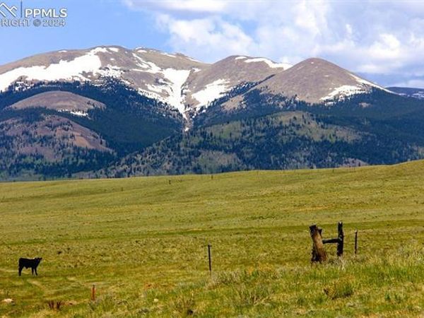 21103 Elkhorn Road, Como, CO 80456