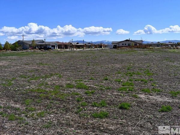 1786 Monte Vista, Minden, NV 89423