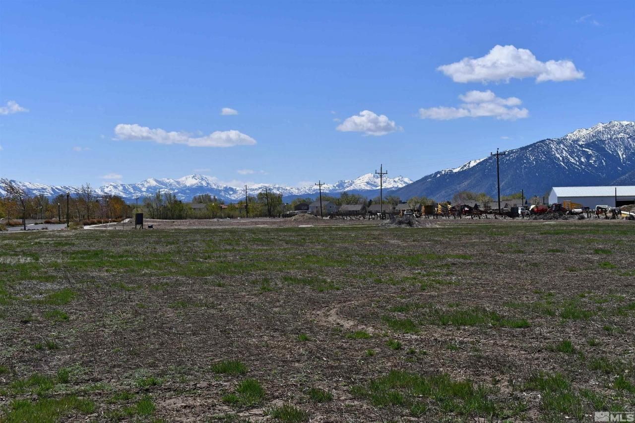 1786 Monte Vista, Minden, NV 89423 Photo