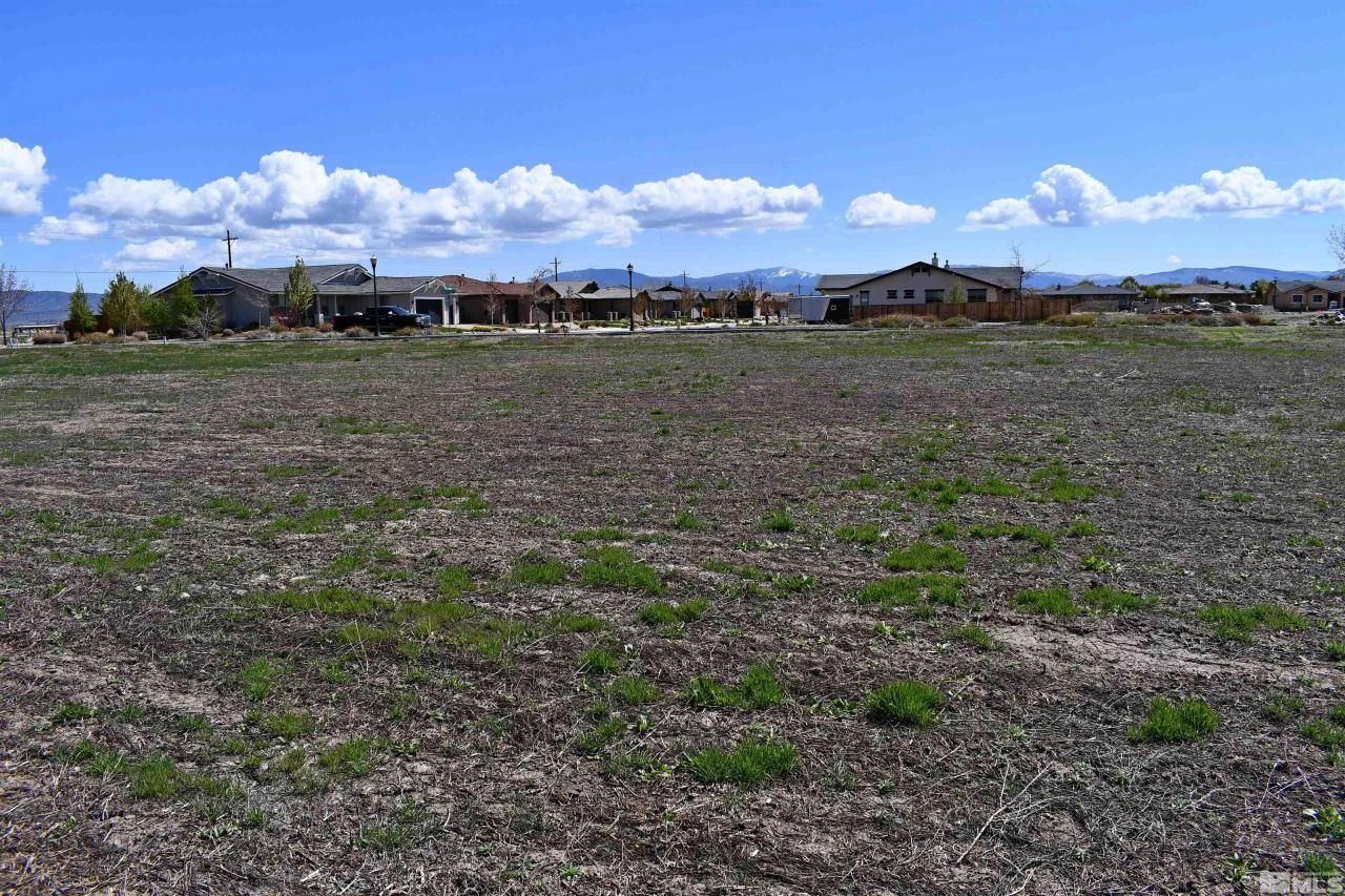 1786 Monte Vista, Minden, NV 89423 Photo