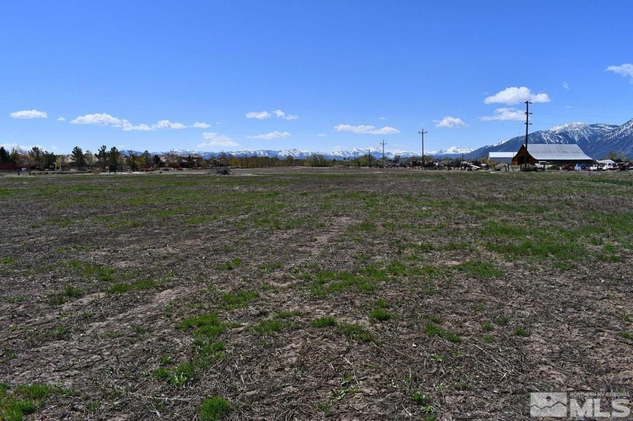 1786 Monte Vista, Minden, NV 89423 Photo