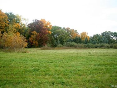 68 Donegal Court, Tyrone Twp, MI 48430