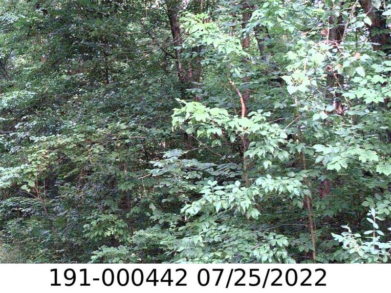 0 E Minnesota Avenue, Columbus, OH 43219 Photo 1