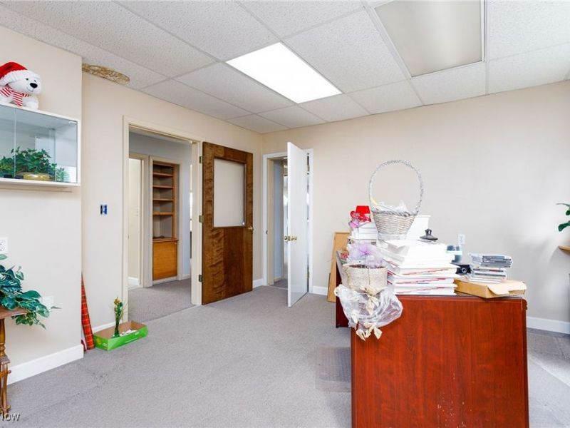 113 Harris Street, Lodi, OH 44254 Photo 18