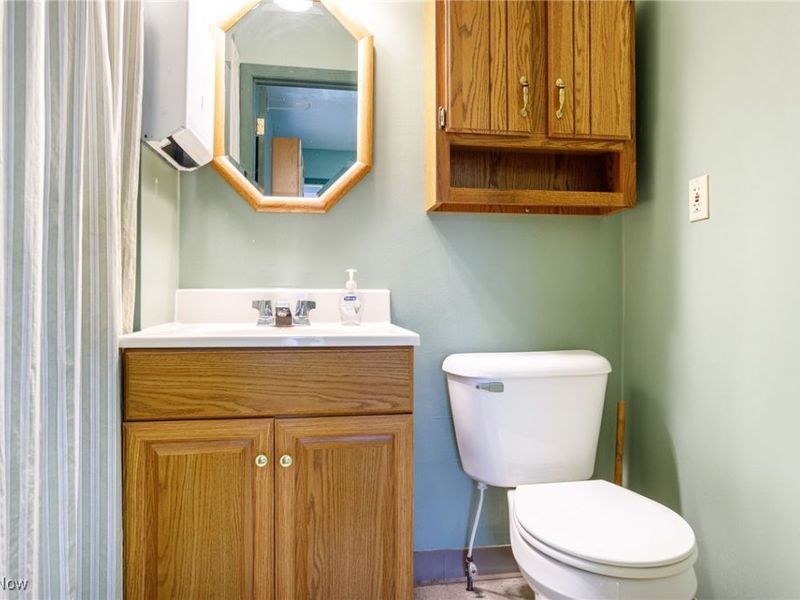 113 Harris Street, Lodi, OH 44254 Photo 29