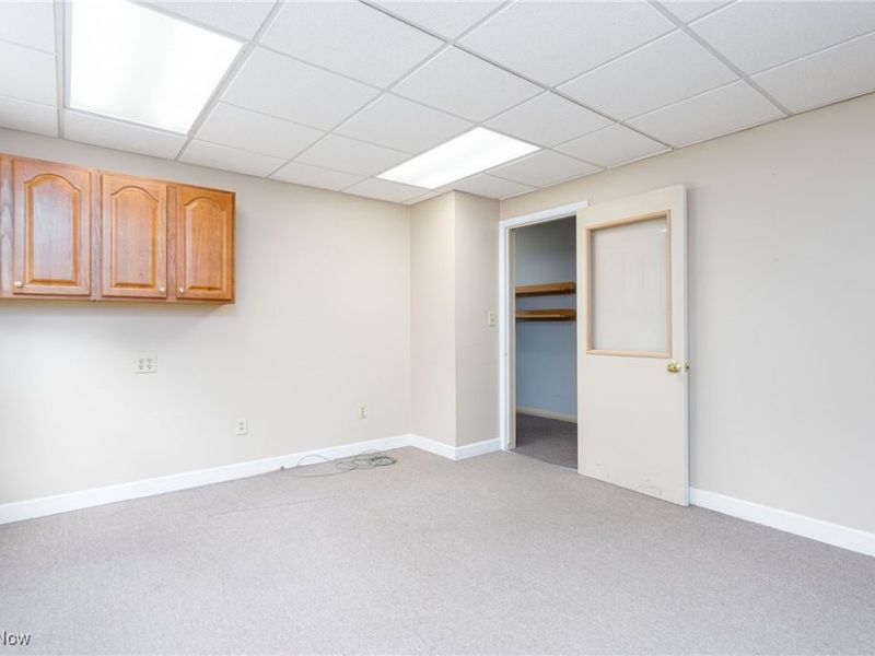 113 Harris Street, Lodi, OH 44254 Photo 21