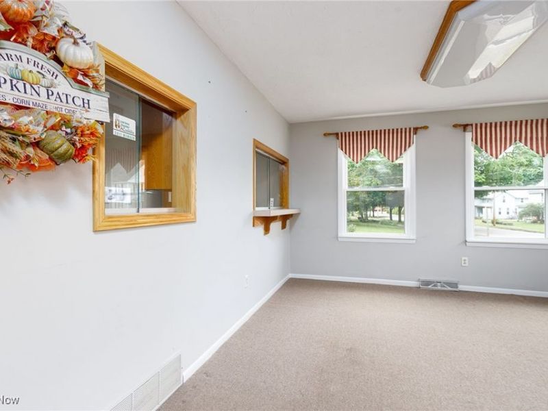 113 Harris Street, Lodi, OH 44254 Photo 6