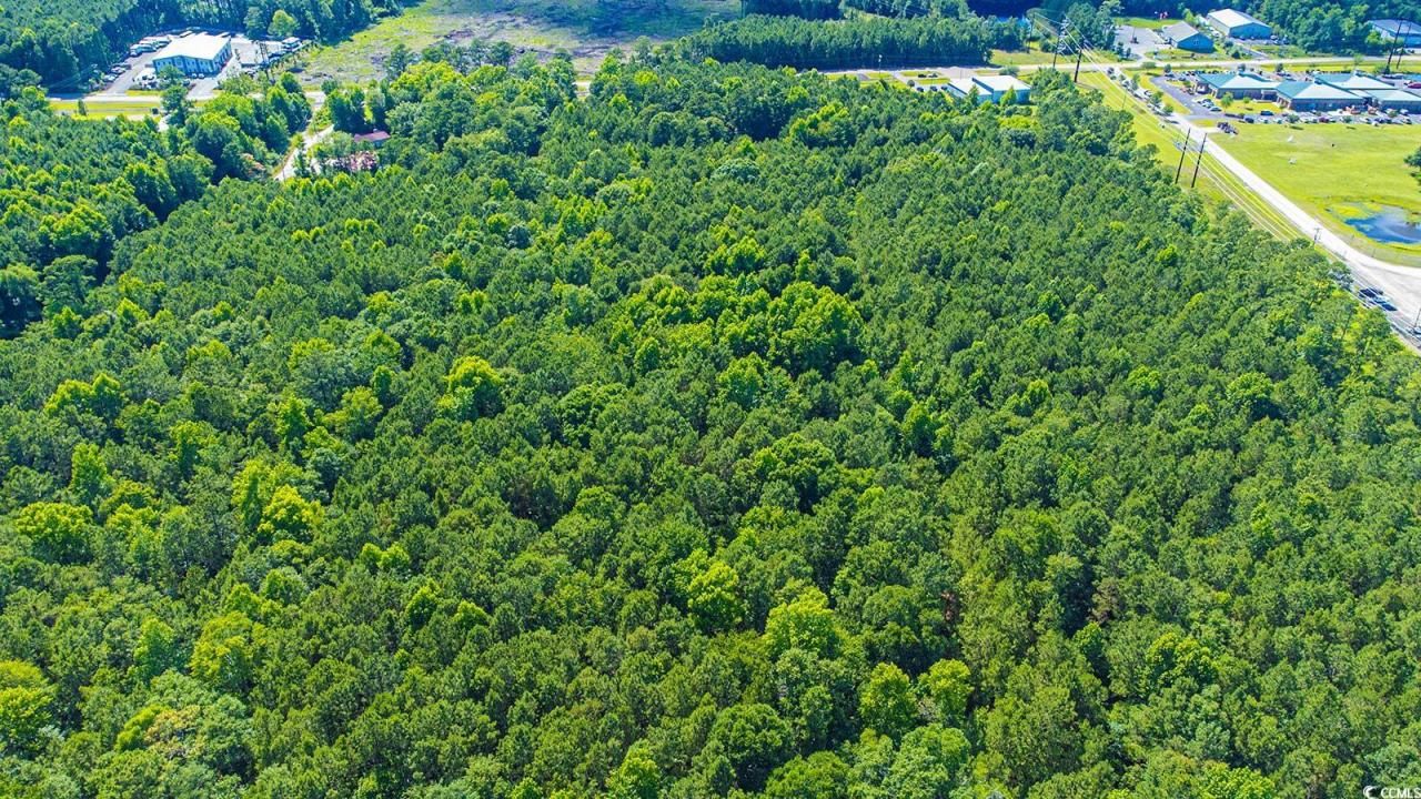 Tbd Scipio Ln. Photo 10