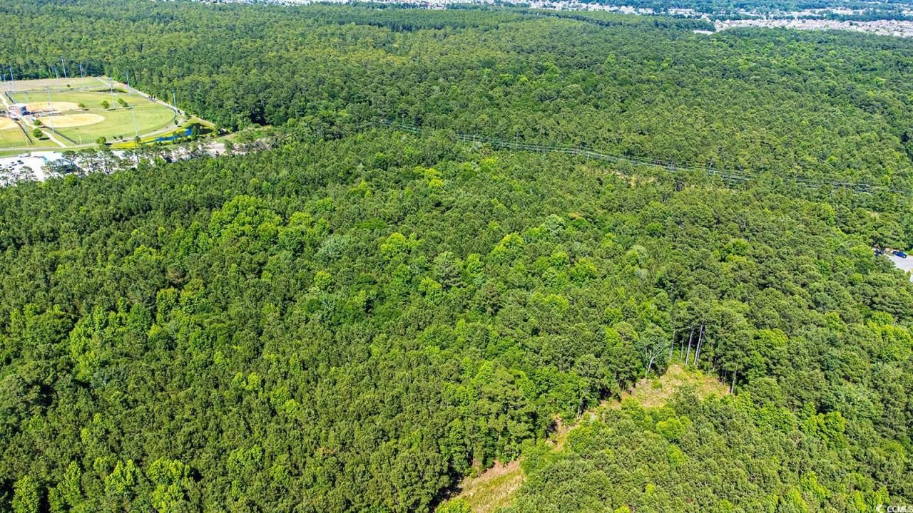 Tbd Scipio Ln. Photo 11