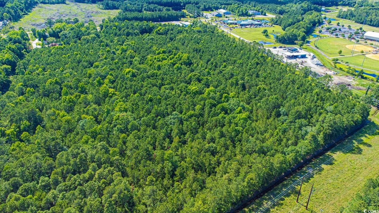 Tbd Scipio Ln. Photo 14