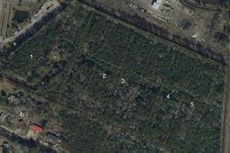 Tbd Scipio Ln. photo 4