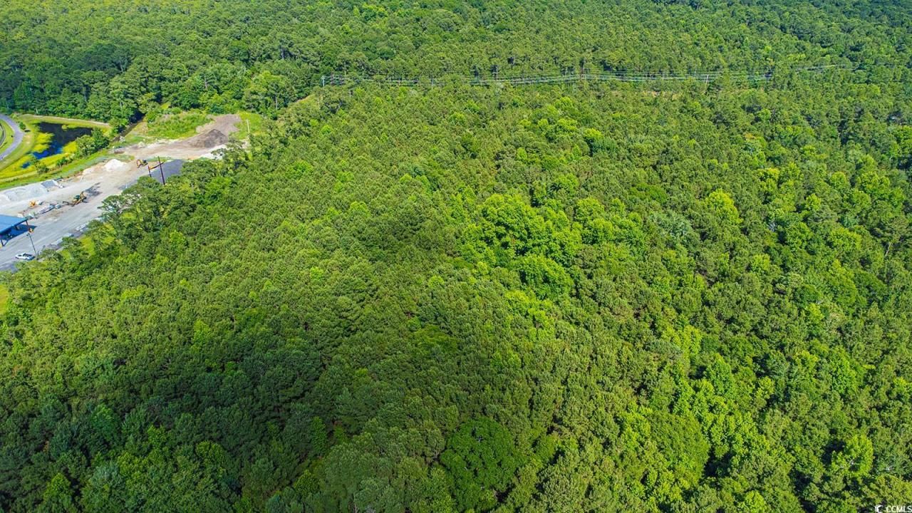 Tbd Scipio Ln. Photo 5