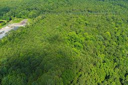 Tbd Scipio Ln. photo 4